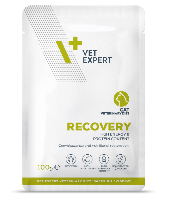 Vet expert Recovery Wet Cat Food, 100gx12pcs