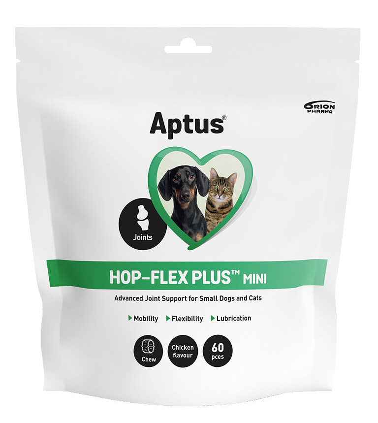 APTUS APTO-FLEX CHEW MINI N40 SUŅIEM/KAĶIEM