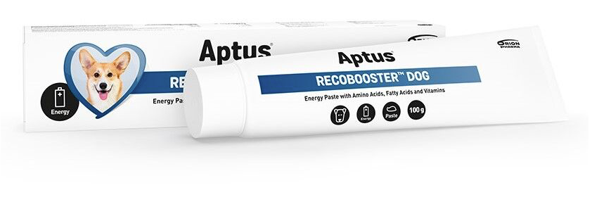 Aptus Recobooster Dog 100g
