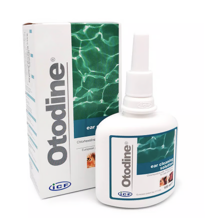 Otodine 100ml