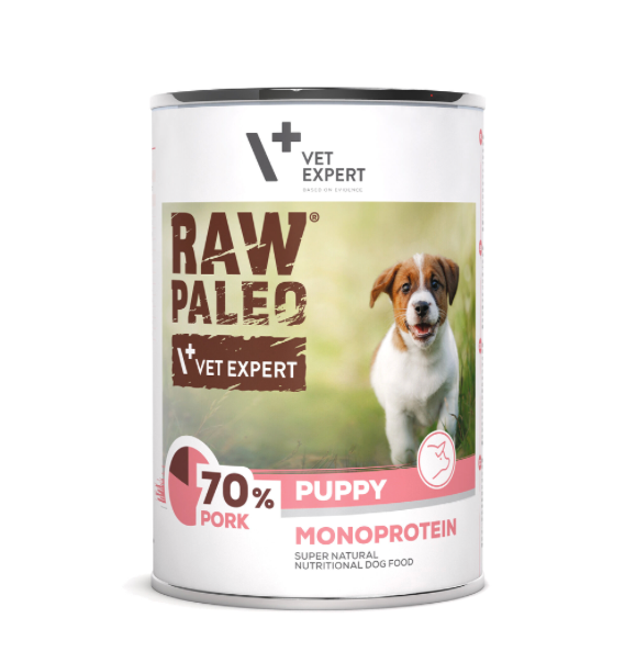 Vet Expert Raw Paleo with Pork Wet Puppy Food 400g