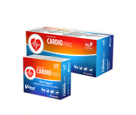 Cardio Force N120