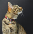 Load image into Gallery viewer, Dashi SLIDE Cat Collar
