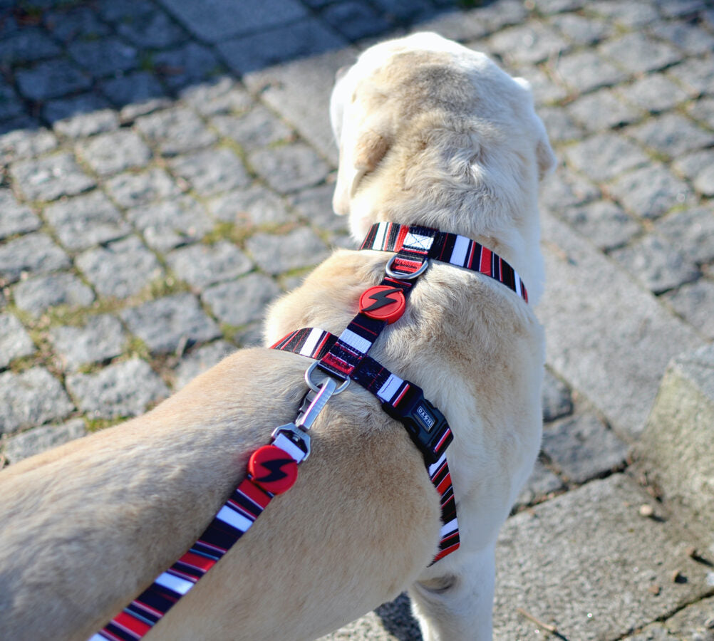 Dashi SLIDE Back Harness For Dogs XS-L (23-107cm)