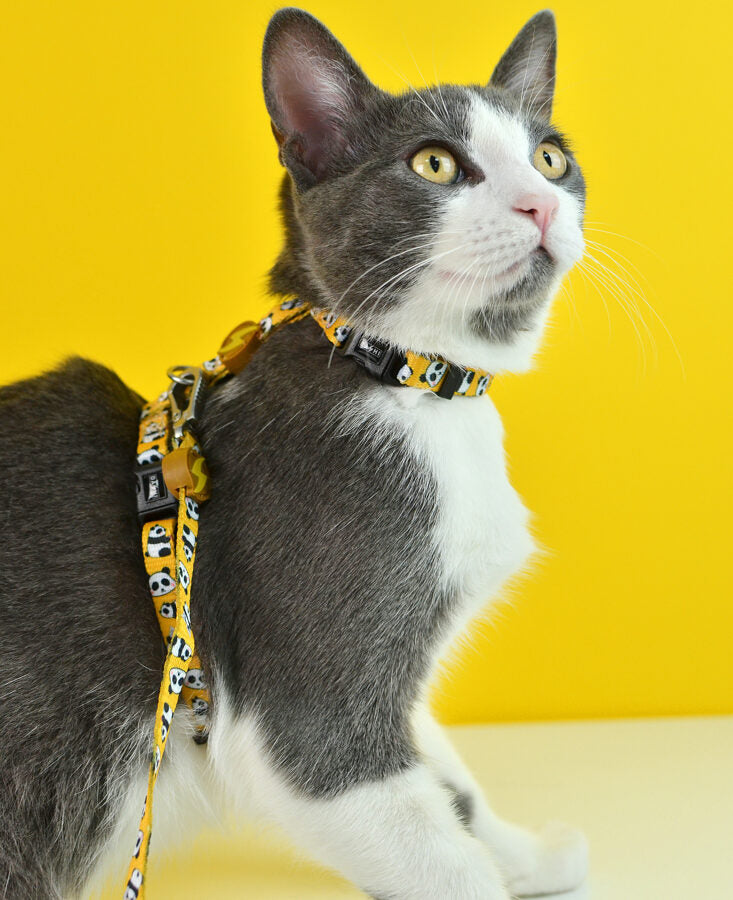 Dashi SNOOZE Cat Harness + Leash