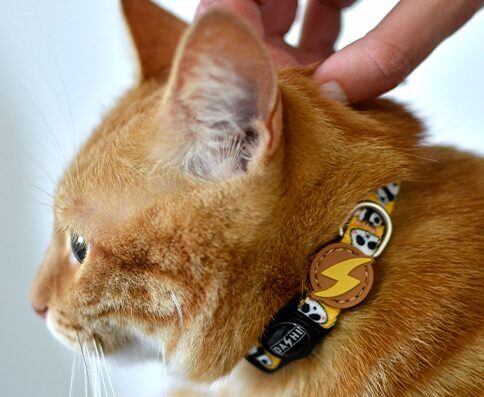 Dashi SNOOZE Cat Collar