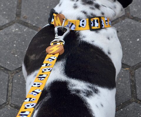 Dashi SNOOZE Leash XS-L (120cm x 1-2.5cm)