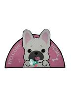 Cat And Dog Toilet Mat To Keep your Home Clean