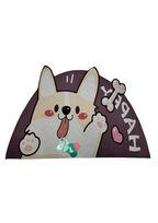 Cat And Dog Toilet Mat To Keep your Home Clean