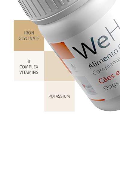 Wepharm® WeHemo® Supplementary food, 30ml