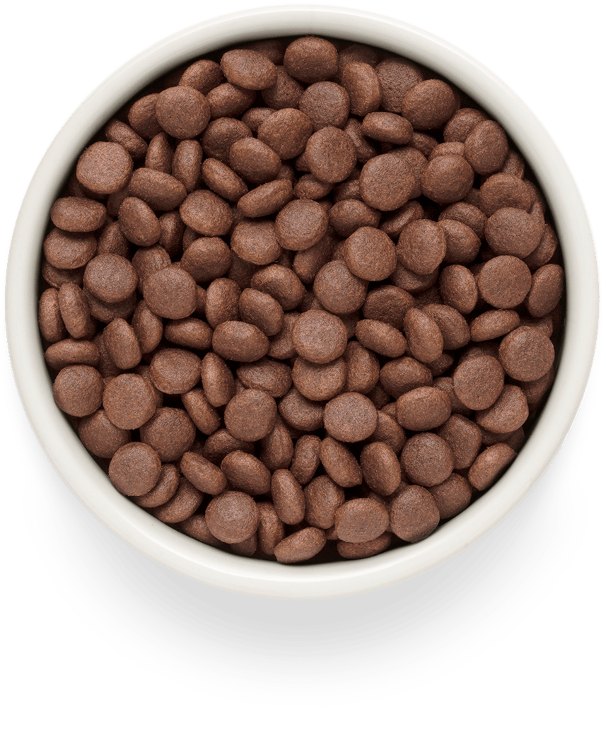 Grandorf Lamm Vuxen Medium & Maxi Raser 10kg