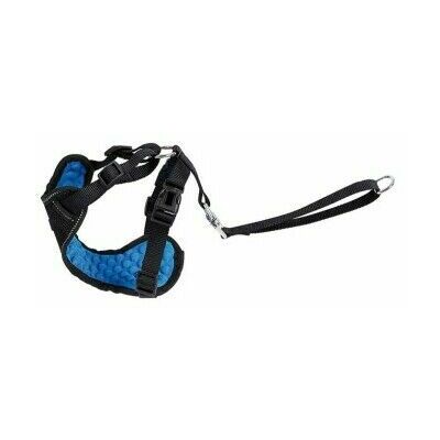 Car Safety Harness for Dogs, Size L Random Colour