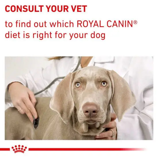 ROYAL CANIN Veterinary Expert Adult Veterinary Health Nutrition Expert Dry Dog Food For Medium Dogs With Poultry, 10kg