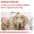 Ielādējiet attēlu galerijas skatītājā, ROYAL CANIN® Veterinary Health Nutrition Expert Adult Dog- Sausā barība vidējiem pieaugušiem suņiem ar mājputna gaļu, 4kg
