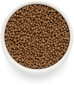 Grandorf Lamb & Potatoes Kitten 2kg