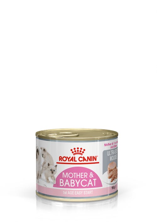 ROYAL CANIN® Mother & Babycat Ultra Soft Mousse, Mitrā barība kaķu mātēm un kaķēniem, 195g