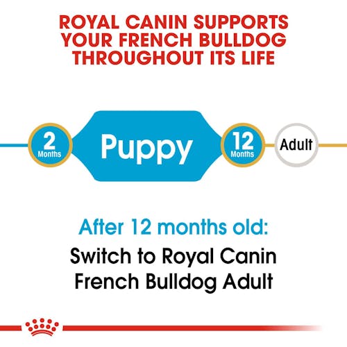 ROYAL CANIN® French Bulldog Puppy Adult Sausā barība suņiem, 3kg