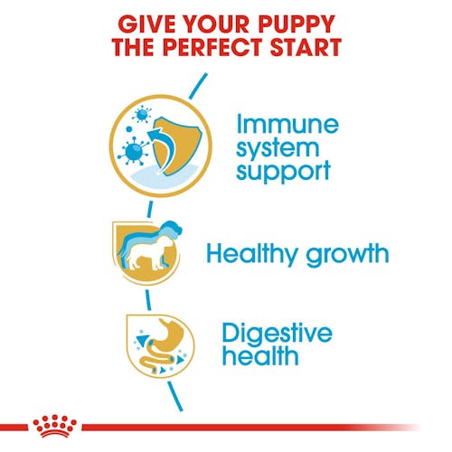 ROYAL CANIN® Jack Russell Terrier Puppy Dry Dog Food, 0,5kg