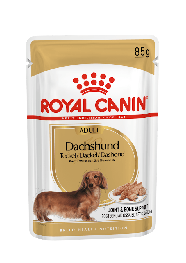 ROYAL CANIN® Dachshund Loaf, Wet Dog Food, 85g