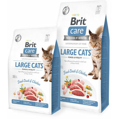 Brit Care Cat GF Large cats Power & Vitality sausā barība liela izmēra kaķiem ar pīli un vistu, 2kg