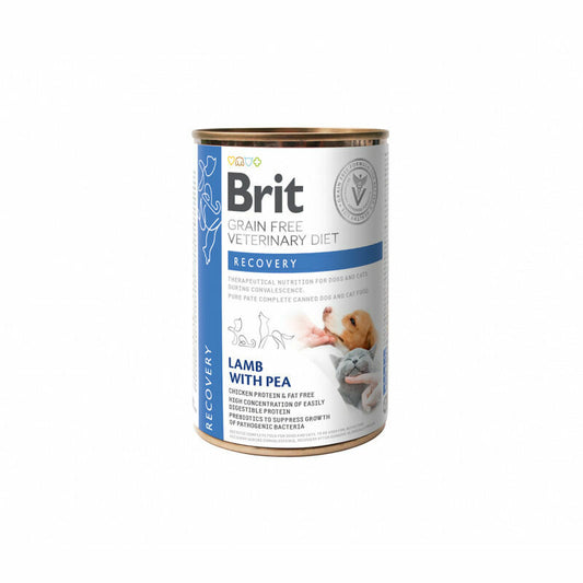 Brit GF Veterinary Diets Dog / Cat Recovery, Wet Food For Dog and Cat With Salmon, 400g