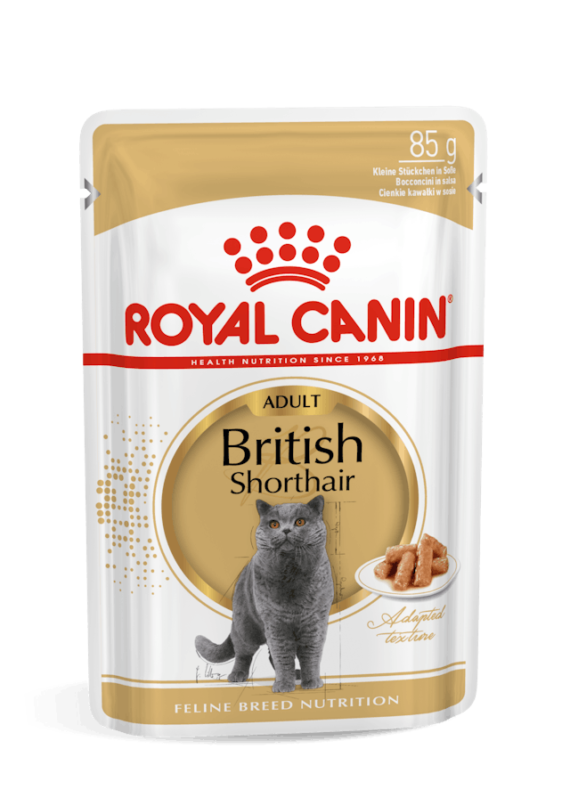 ROYAL CANIN® British Shorthair Narrow Chunks In Gravy, Wet Cat Food, 85g