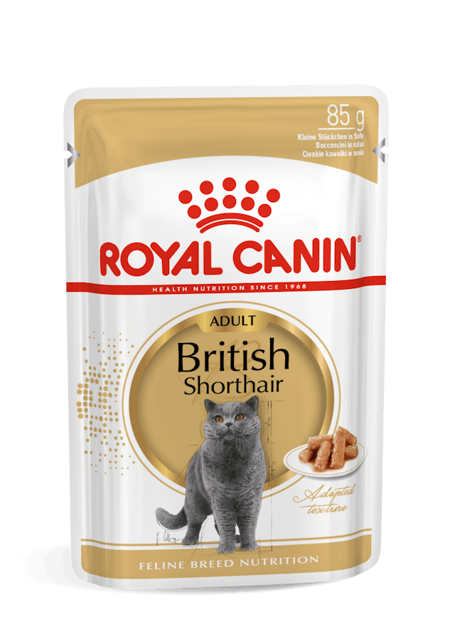 ROYAL CANIN® British Shorthair Narrow Chunks In Gravy, Wet Cat Food, 85 g