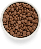 Grandorf Salmon Adult Medium & Maxi Breeds 3kg