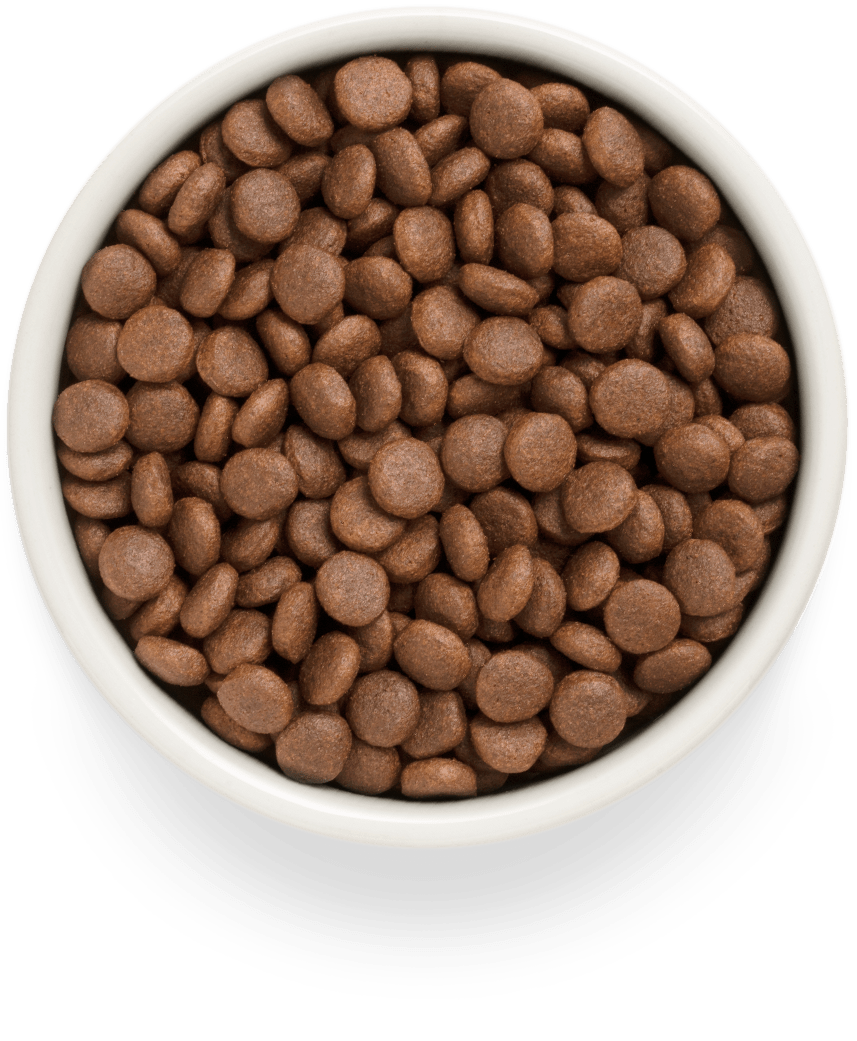 Grandorf Lax Vuxen Medium & Maxi Raser 10kg