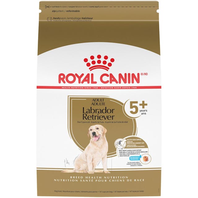 ROYAL CANIN® Labrador Retrievier Adult 5+ Sausā barība suņiem, 12kg