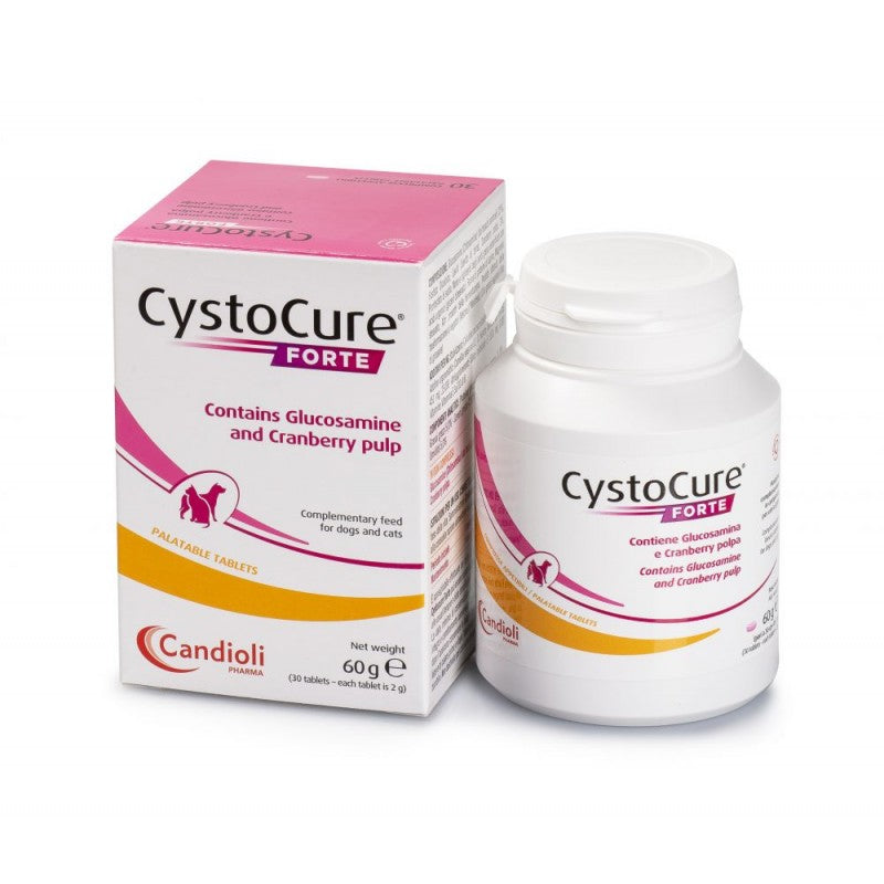 CystoCure Forte Feed For Urinary Tract Health, N30