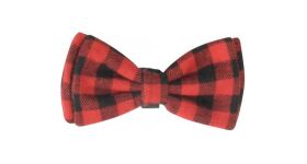 Camon Christmas bow tie for dogs