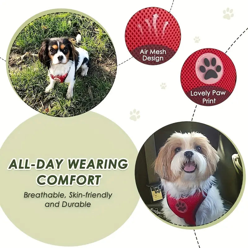 Dog Car Harness Seat Belt Set, With Strap, L