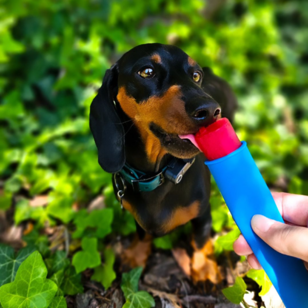 Fürree Ice Cream Mix for Dogs – Churpi