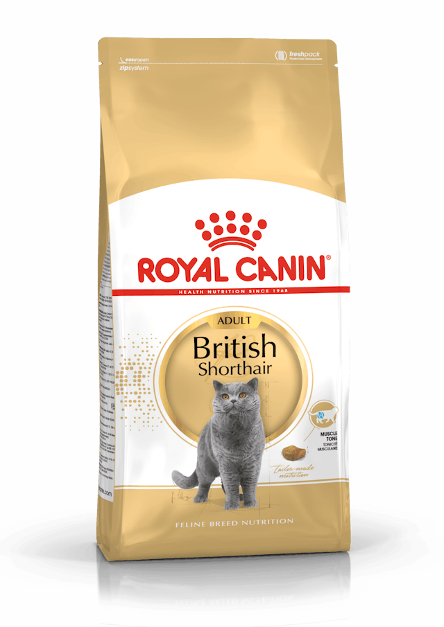 ROYAL CANIN® British Shorthair Adult Dry Cat Food, 10kg