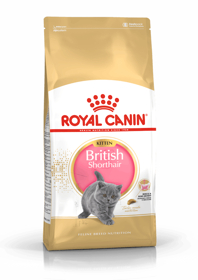 ROYAL CANIN® British Shorthair Kitten Dry Cat Food, 10kg