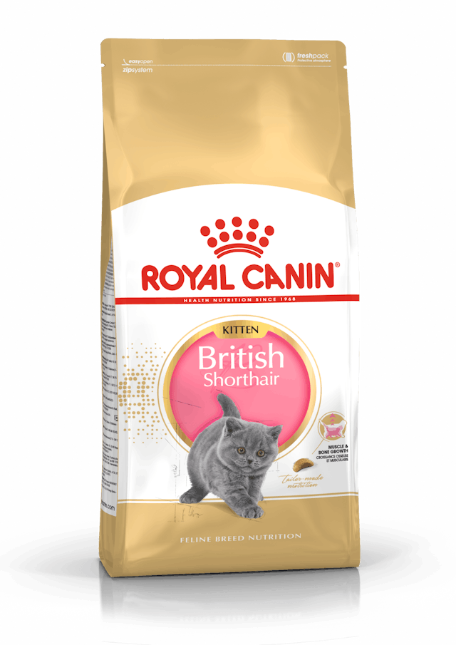 ROYAL CANIN® British Shorthair Kitten Sausā barība britu īsspalvanajiem kaķēniem, 10kg