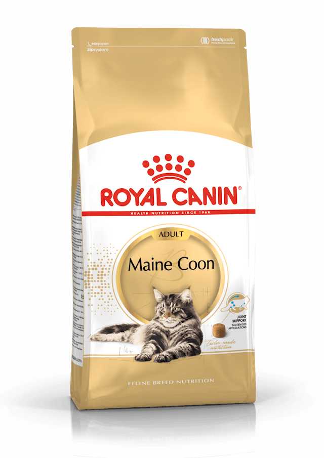 ROYAL CANIN® Maine Coon Vuxen Torrfoder för Katt, 10kg