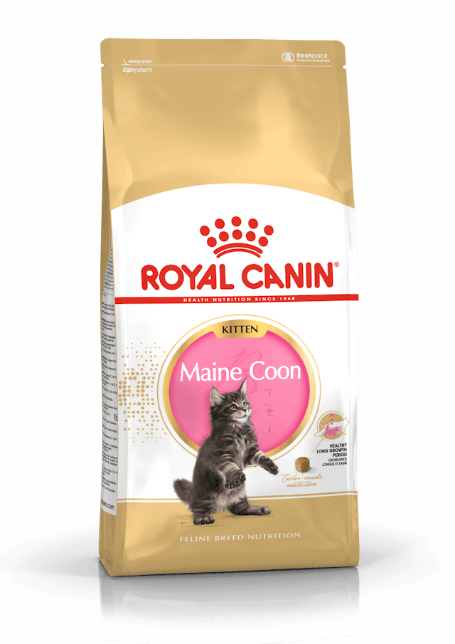 ROYAL CANIN® Maine Coon Kitten Sausā barība meikūnu kaķēniem, 0,4kg