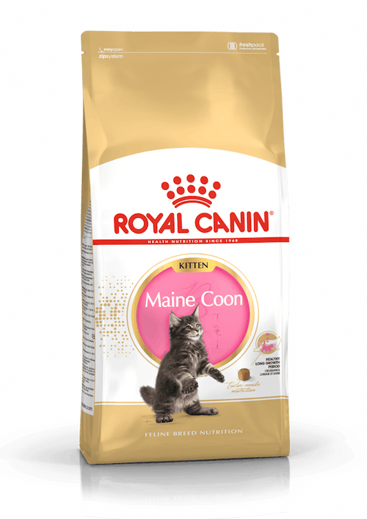 ROYAL CANIN® Maine Coon Kitten Sausā barība meikūnu kaķēniem, 10kg