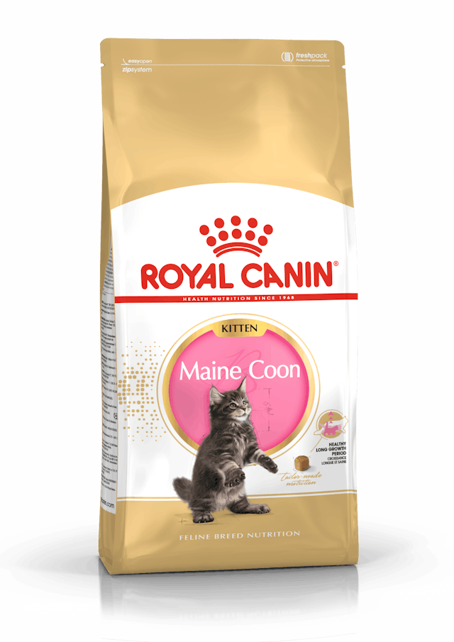 ROYAL CANIN® Maine Coon Kitten Trockenfutter für Maine-Coon-Kätzchen, 10 kg