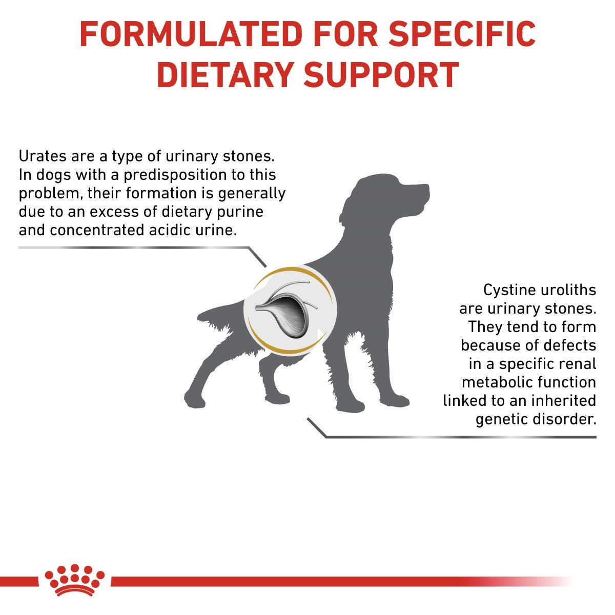 ROYAL CANIN® Veterinary Diet Urinary U/C Dry Dog Food With Poultry, 2kg