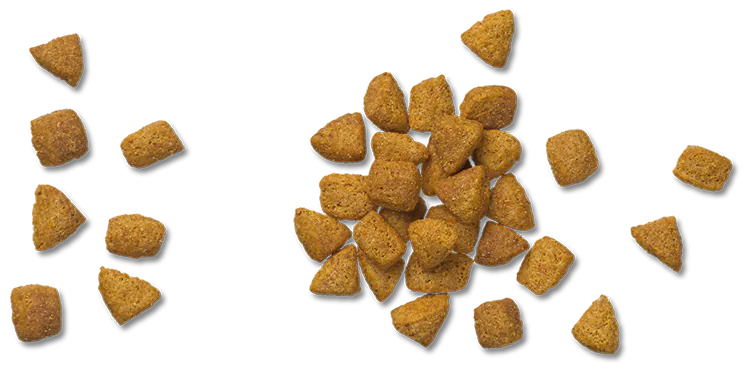 Purina PRO PLAN VETERINARY DIETS UR Urinary St/Ox Fórmula Felina, 350g