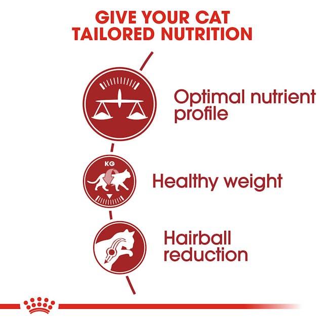 ROYAL CANIN® FIT Komplett Torrfoder för Katt, 10kg
