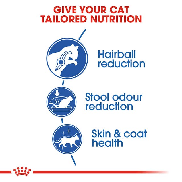 ROYAL CANIN® Torrfoder för inomhuskatter med lång päls, 2kg