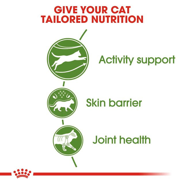 ROYAL CANIN® Outdoor Active Life Dry Cat Food, 4 kg