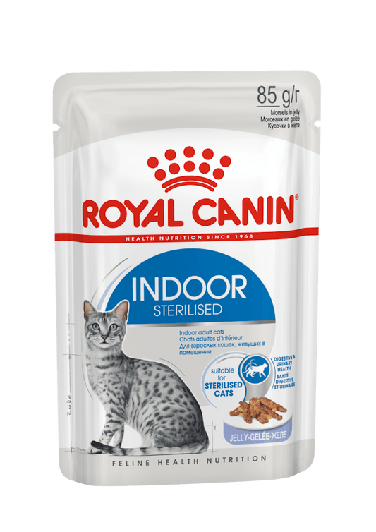 ROYAL CANIN® Indoor Jelly, Mitrā barība kaķiem, 85g