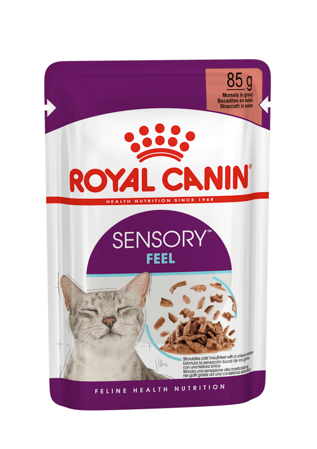 ROYAL CANIN® Sensory Feel, Stückchen in Sauce, Nassfutter für Katzen, 85 g