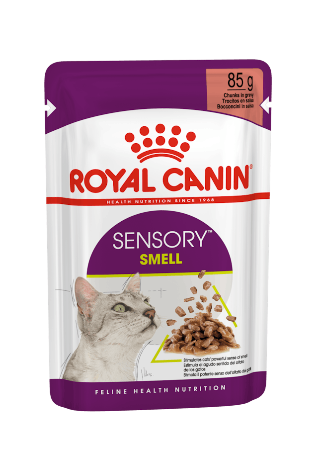 ROYAL CANIN® Sensory Smell Gravy, Mitrā barība kaķiem, 85g