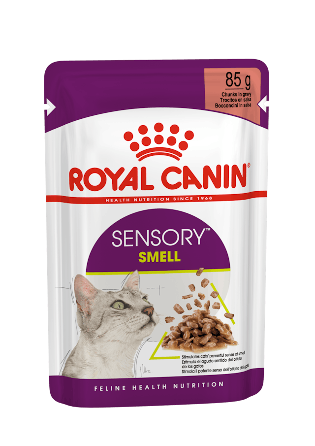 ROYAL CANIN® Sensory Smell, Stückchen in Sauce, Nassfutter für Katzen, 85 g